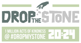 DropTheStone Logo